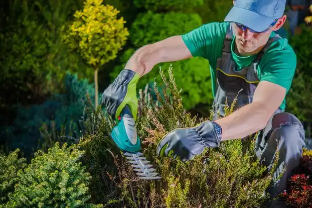 landscaping services Wilberforce